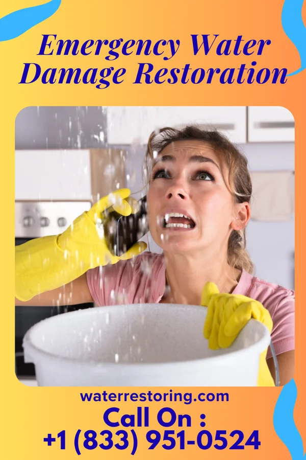 Emergency Water Damage Restoration in Paisley, OR